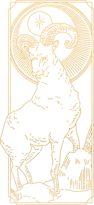 Horoskop 2023 Widder